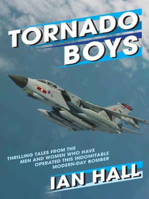 cover image of Tornado Boys